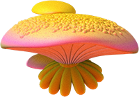 mushroom flourish